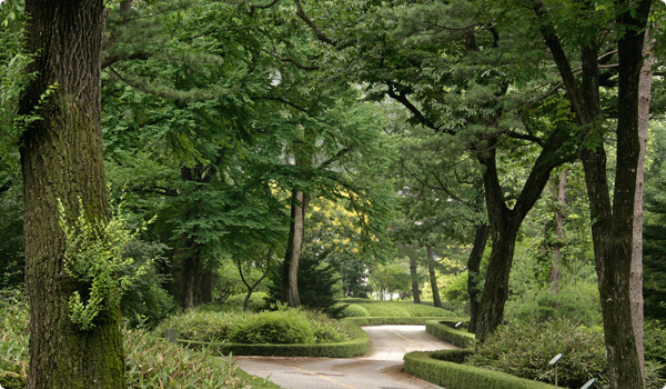국립수목원 숲 풍경
