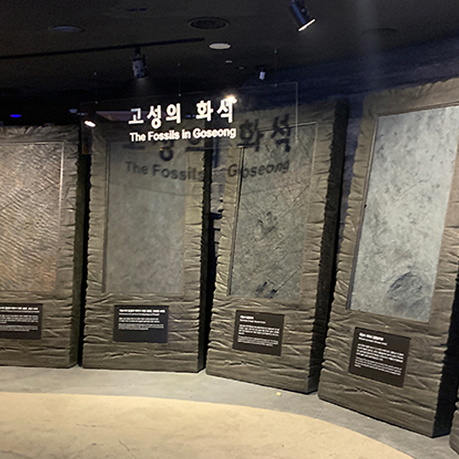 공룡엑스포 한반도 공룡발자국화석관 공식 안내